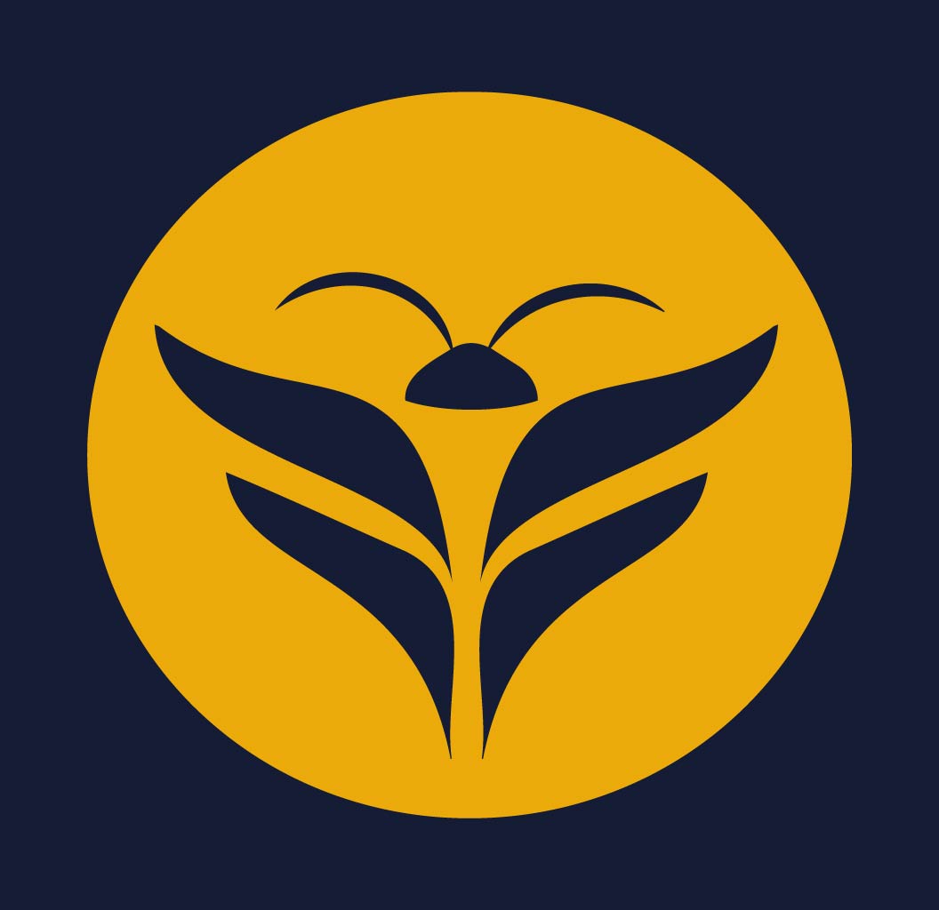 Firefly icon